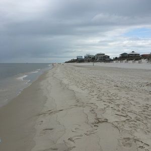 Meet your Posher, Connie